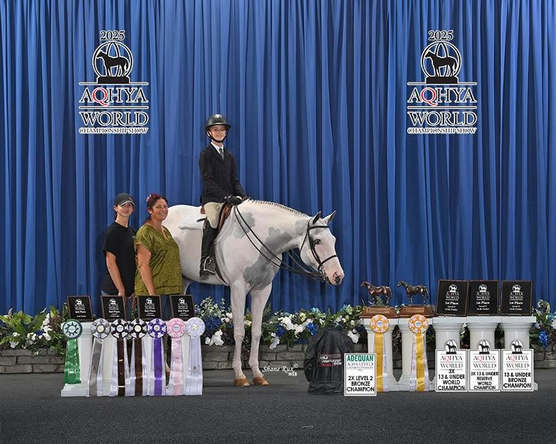 Five Star Performance Horses