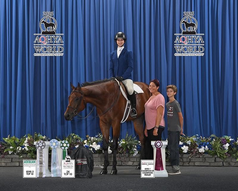 Five Star Performance Horses