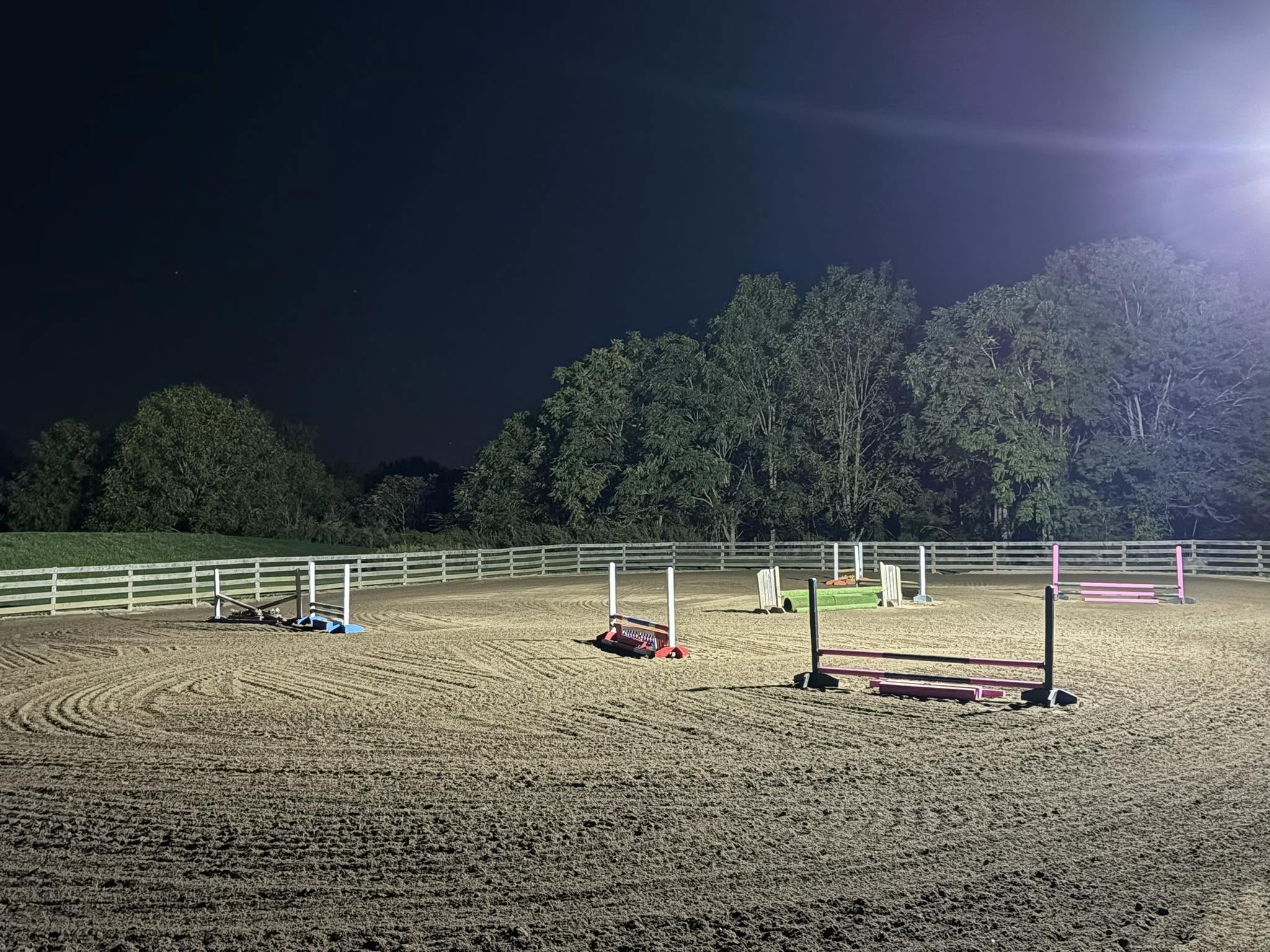 Five Star Performance Horses