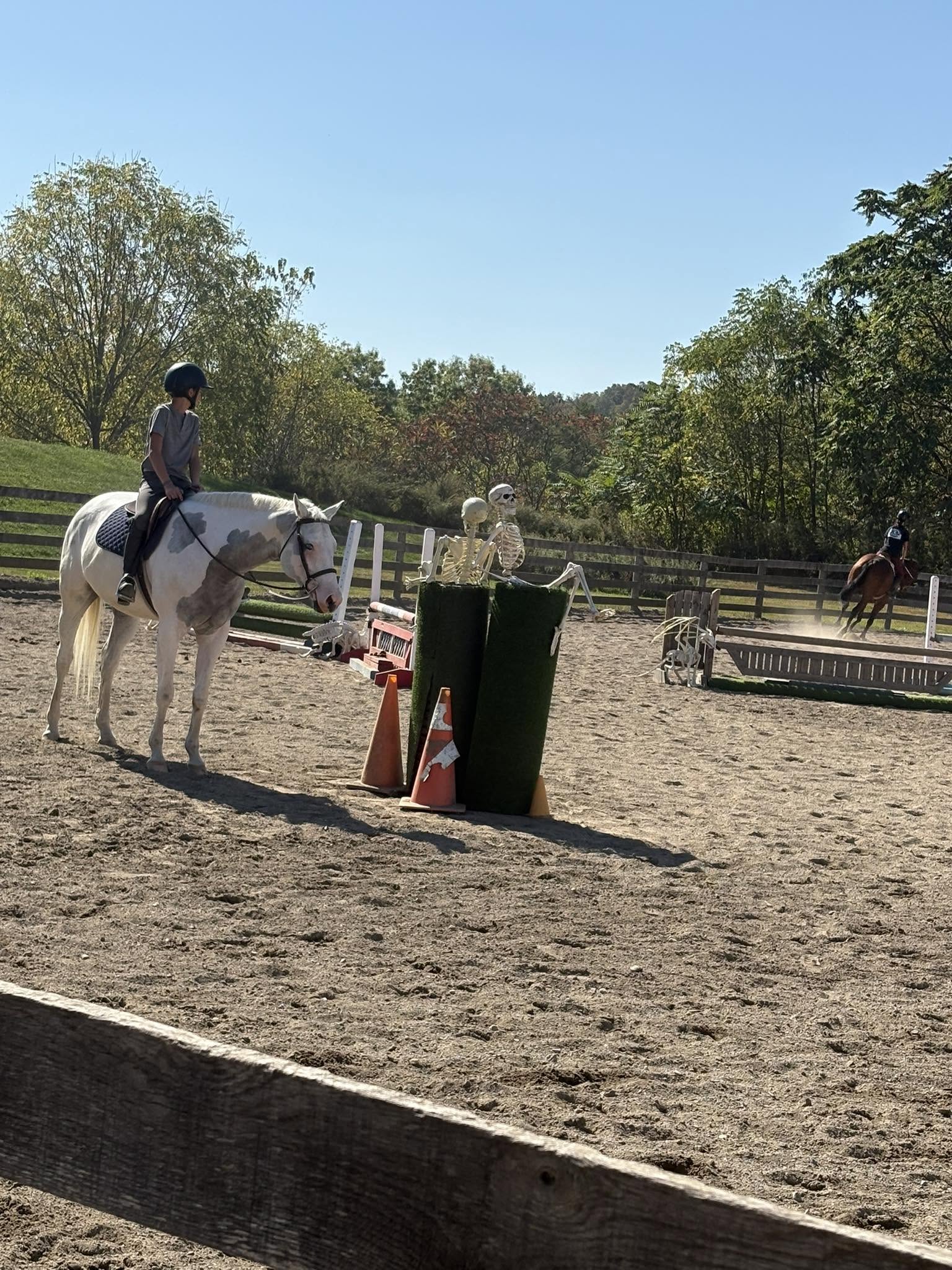 Five Star Performance Horses