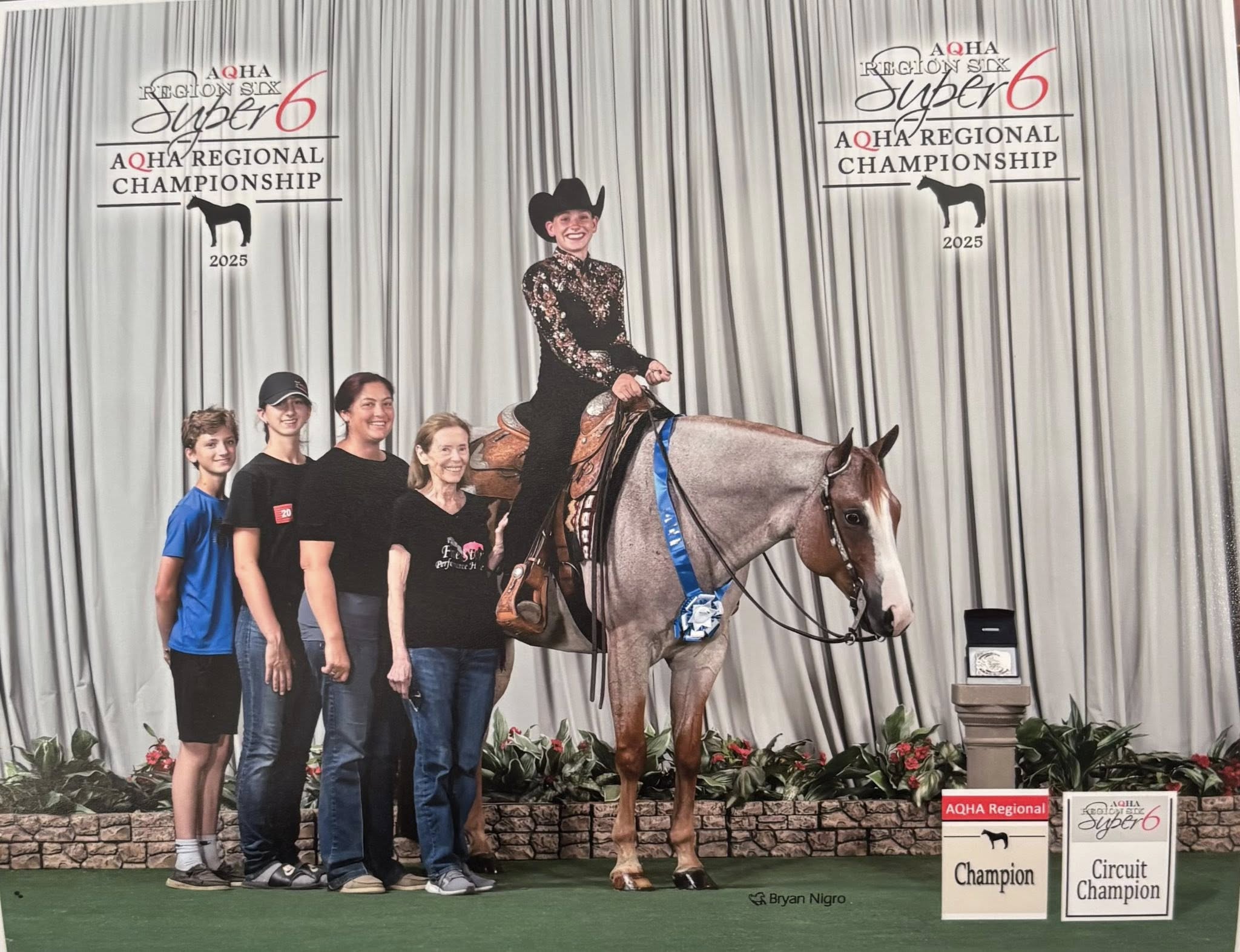 Five Star Performance Horses