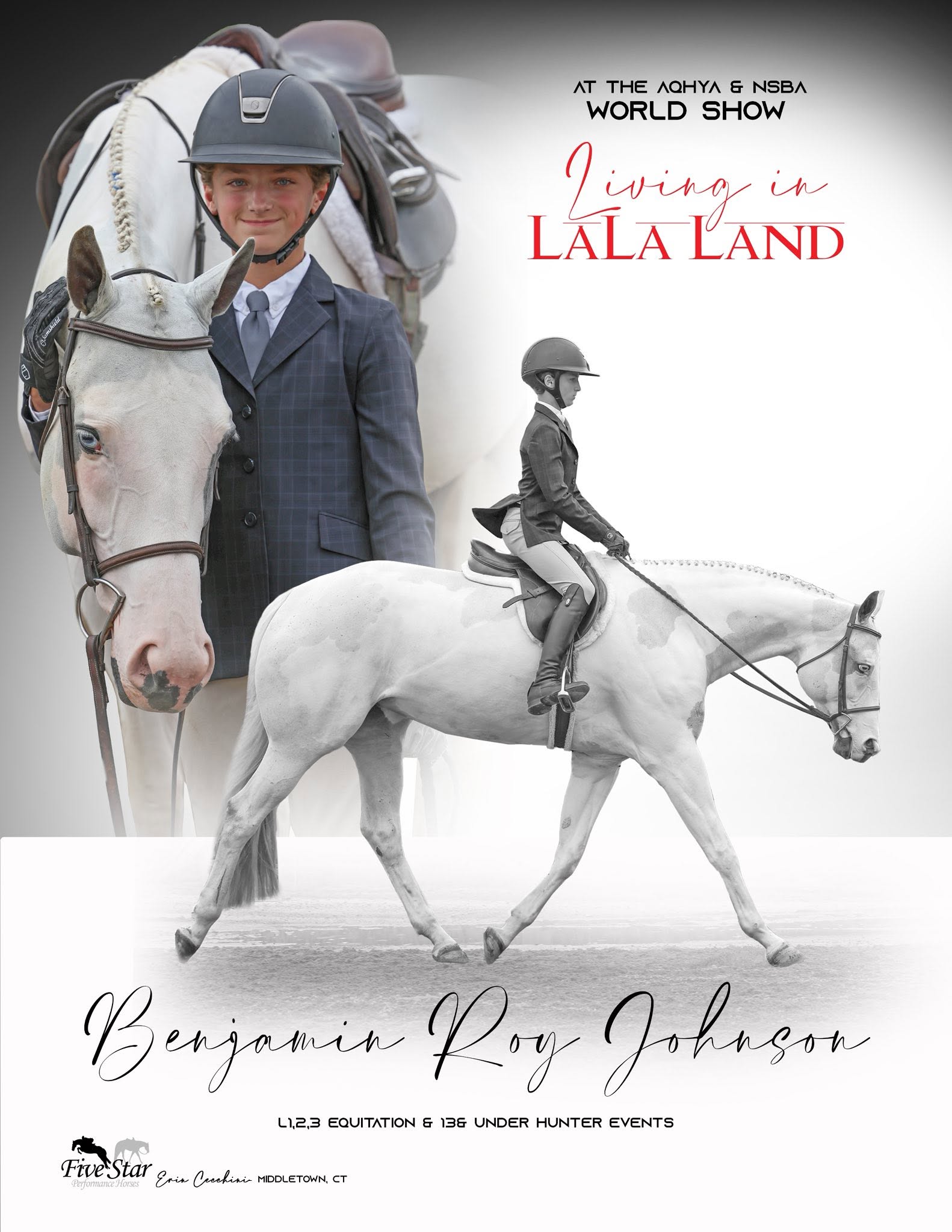 Five Star Performance Horses