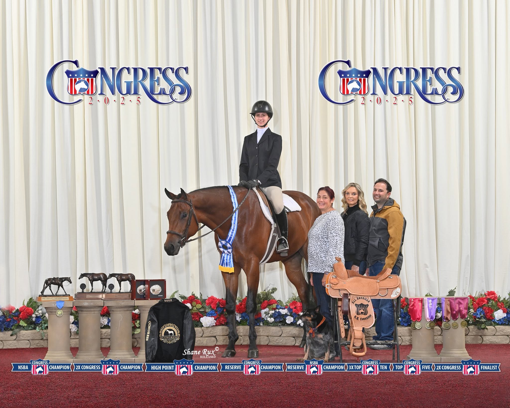 Five Star Performance Horses