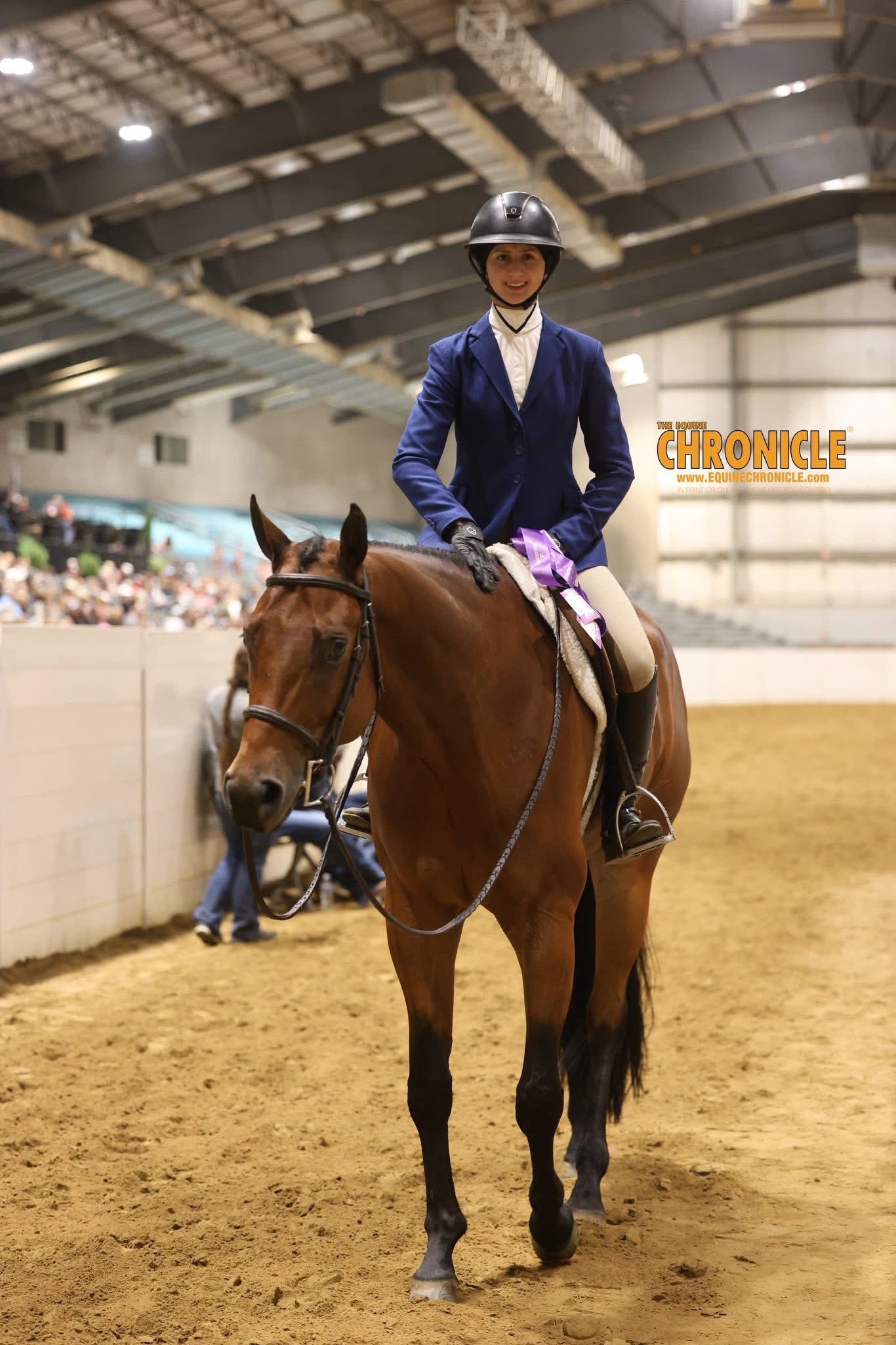 Five Star Performance Horses