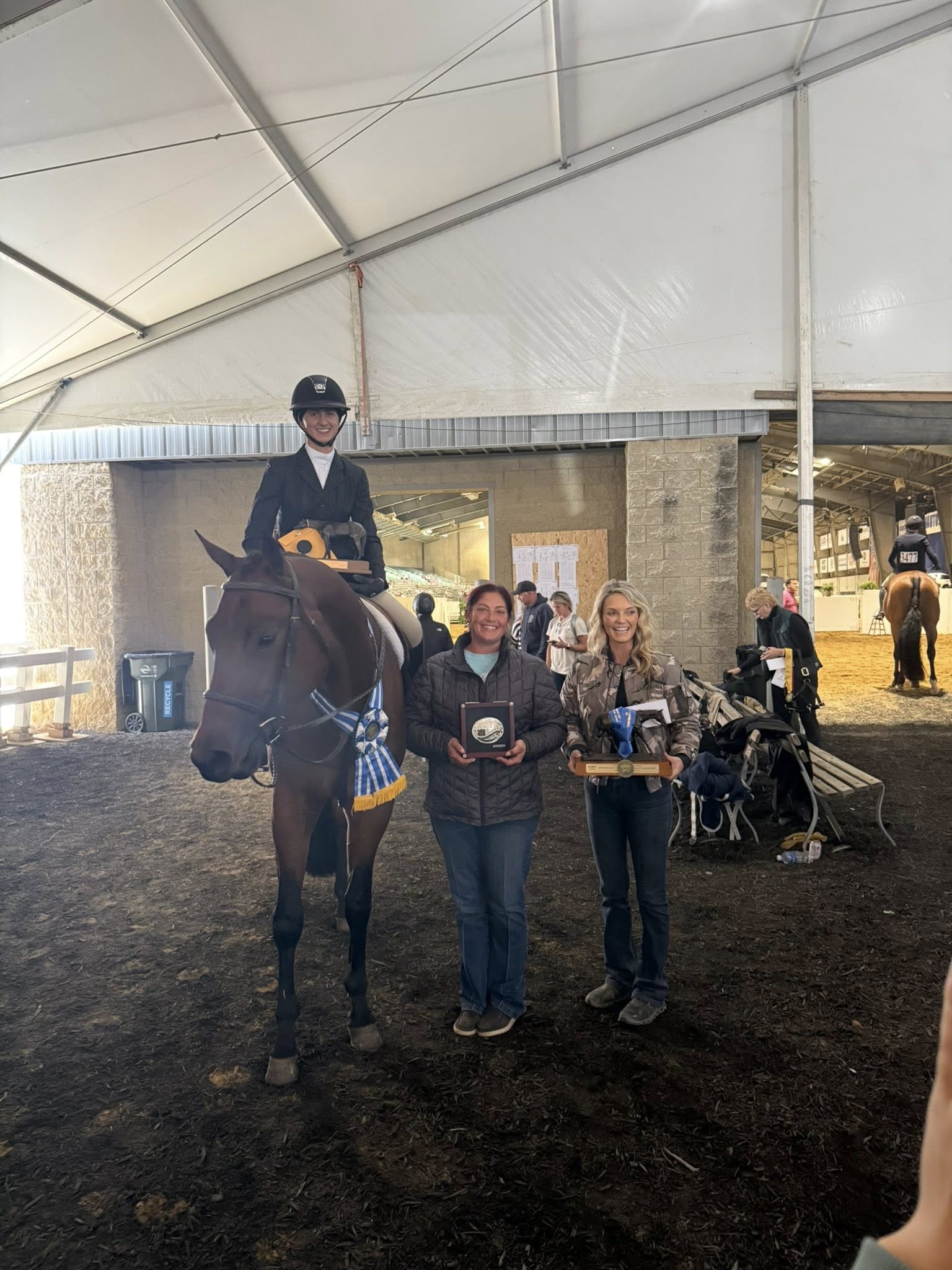 Five Star Performance Horses