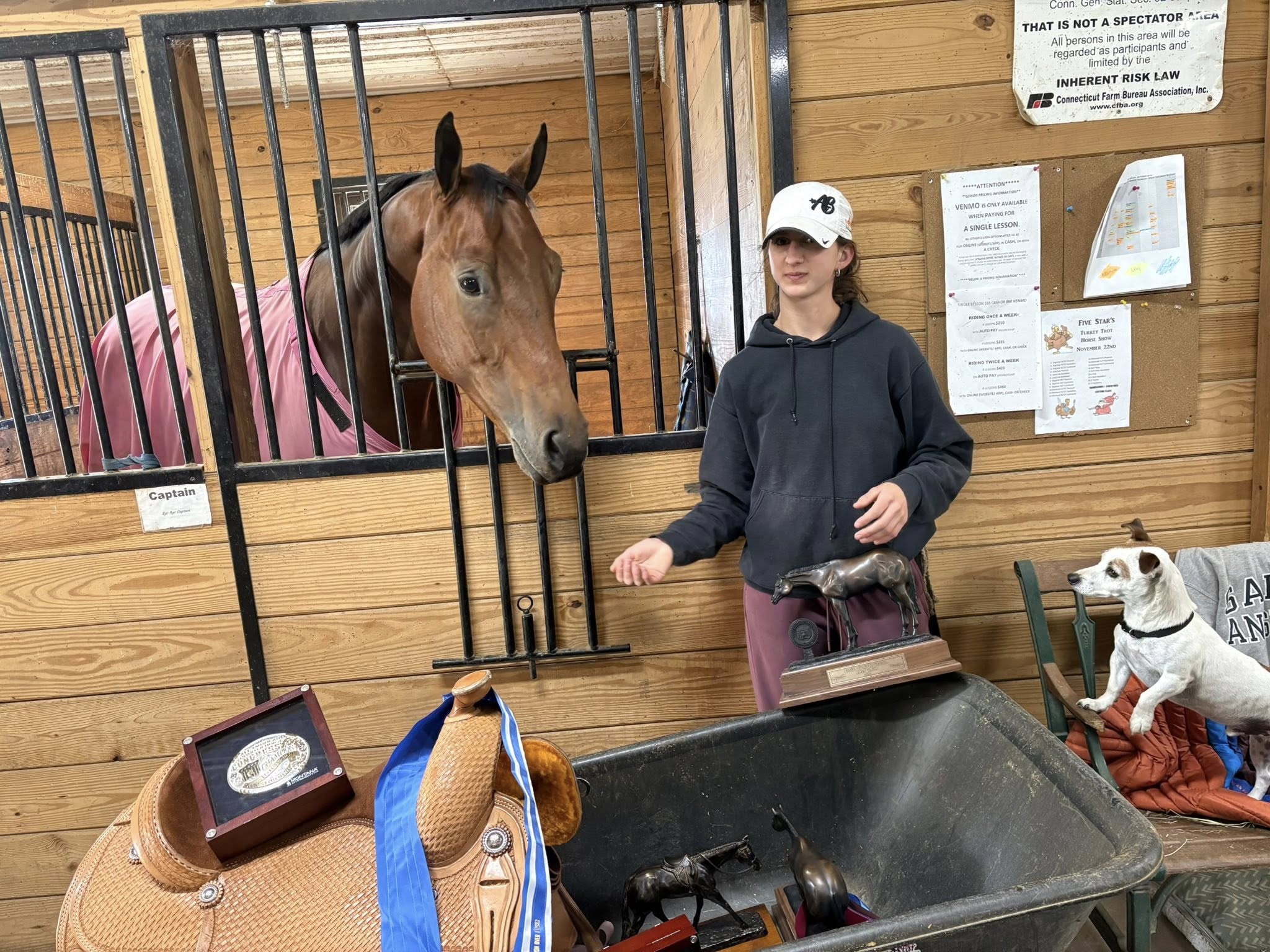 Five Star Performance Horses