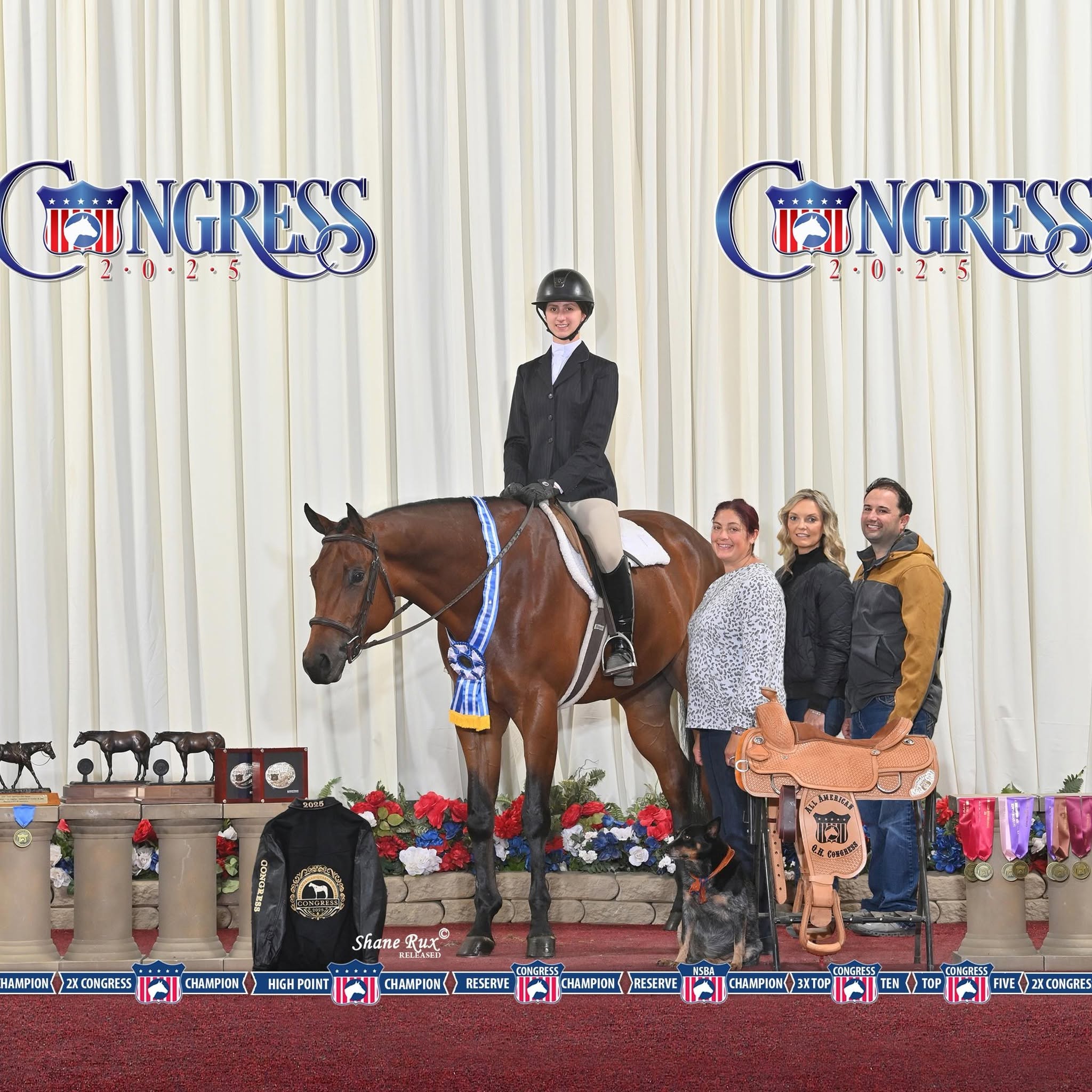 Five Star Performance Horses
