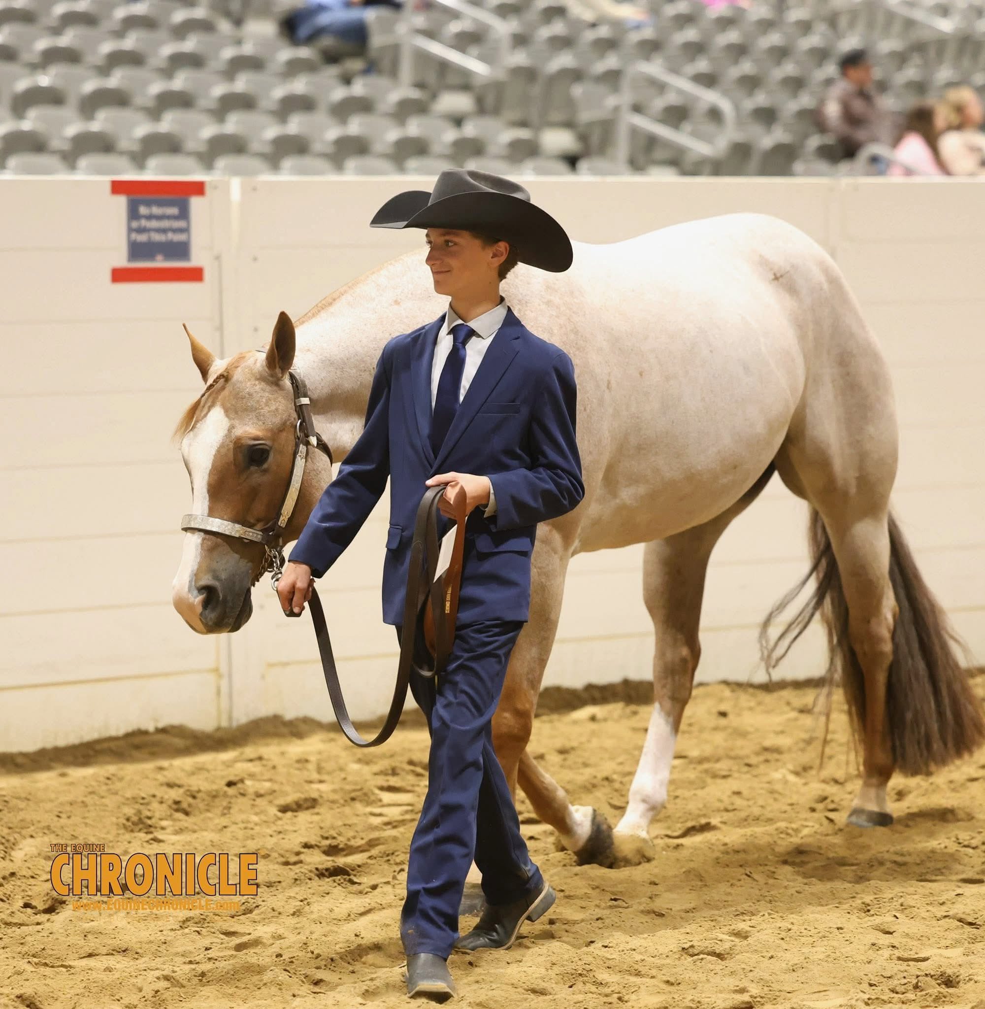 Five Star Performance Horses