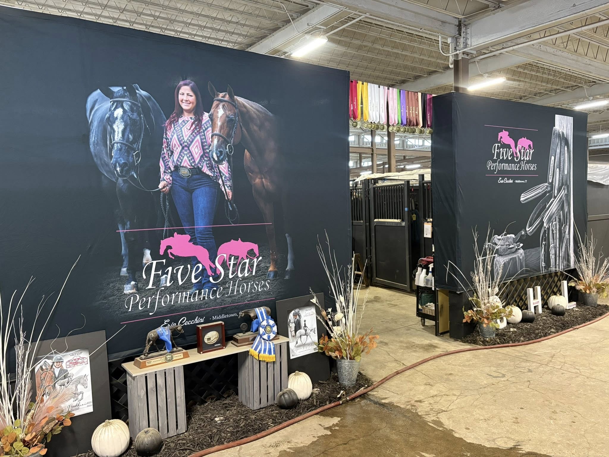 Five Star Performance Horses
