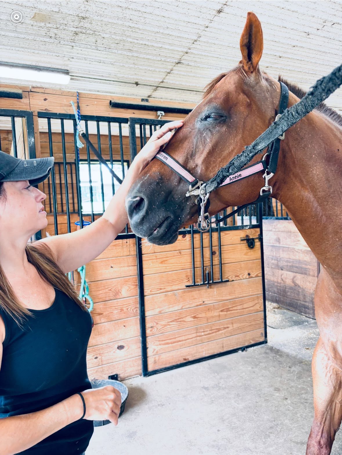 Five Star Performance Horses