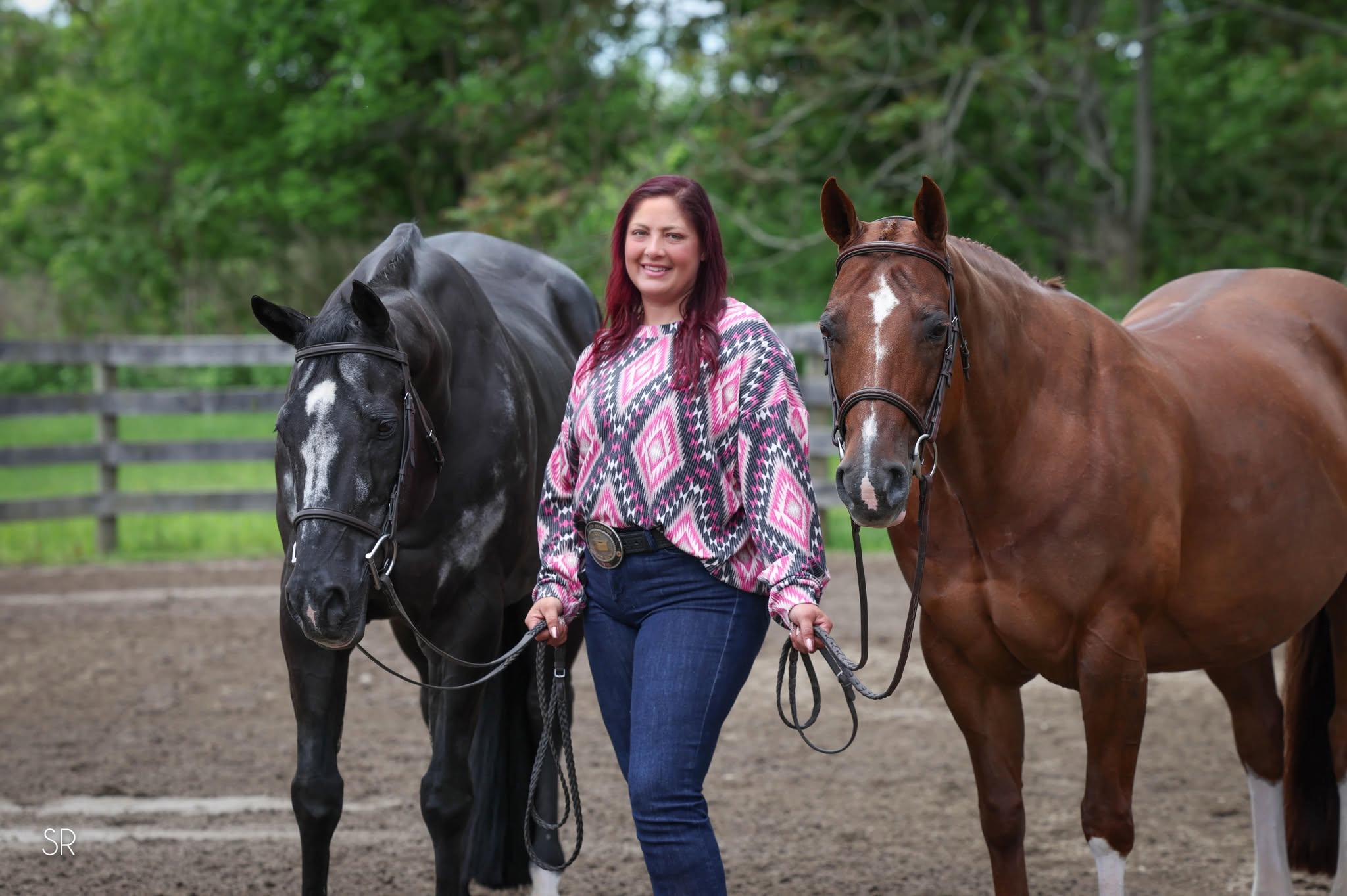 Five Star Performance Horses