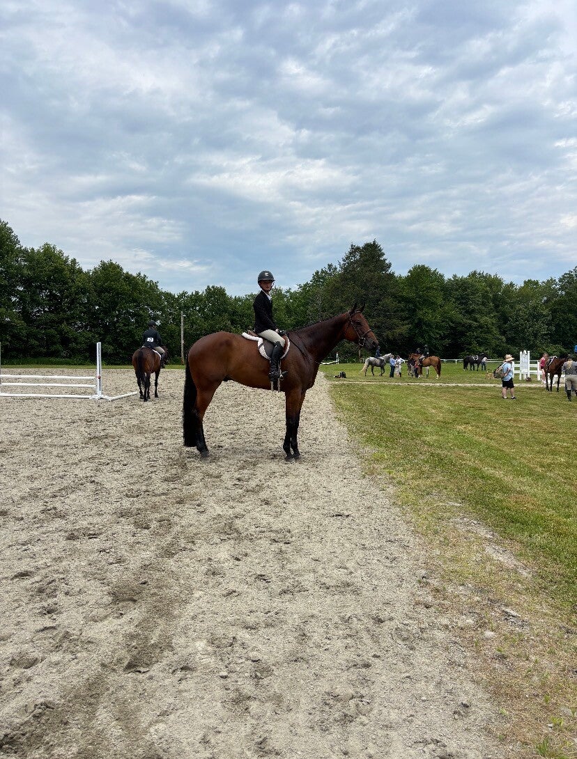 Five Star Performance Horses on-site