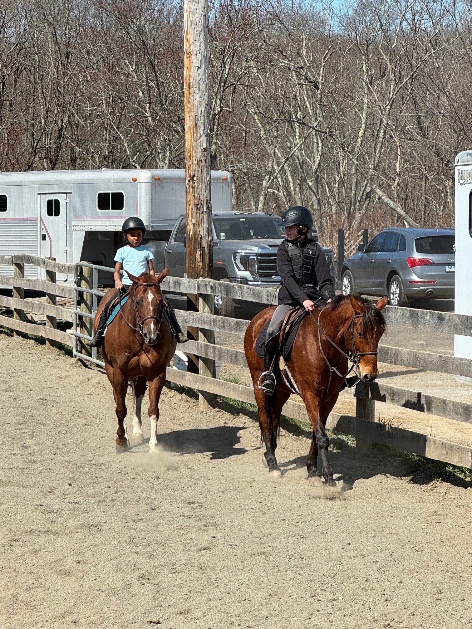 Five Star Performance Horses on-site