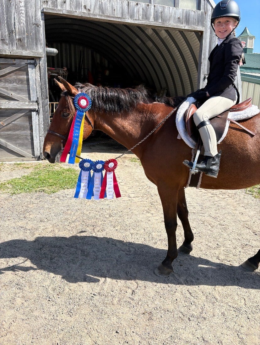 Five Star Performance Horses on-site