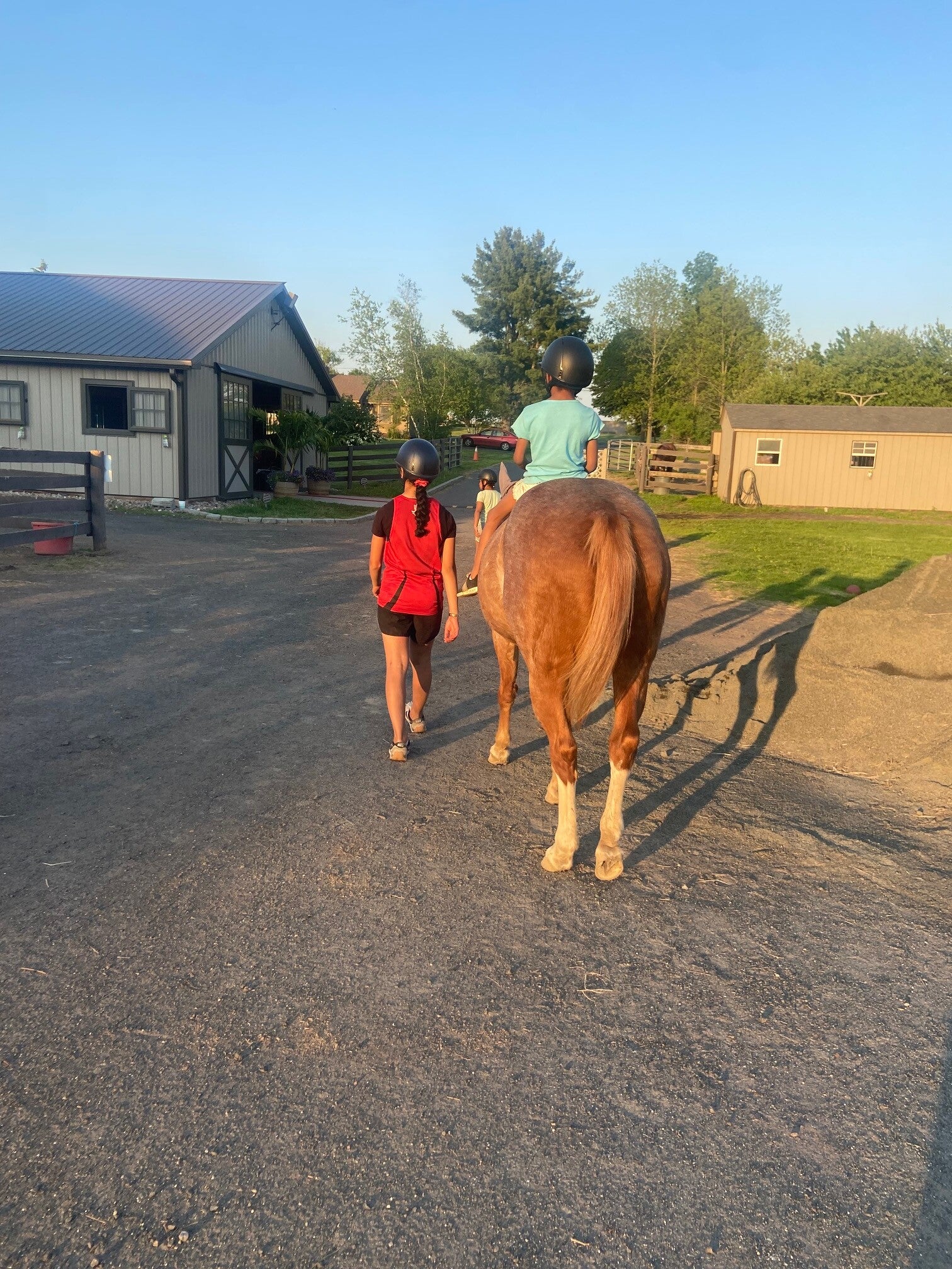 Five Star Performance Horses on-site