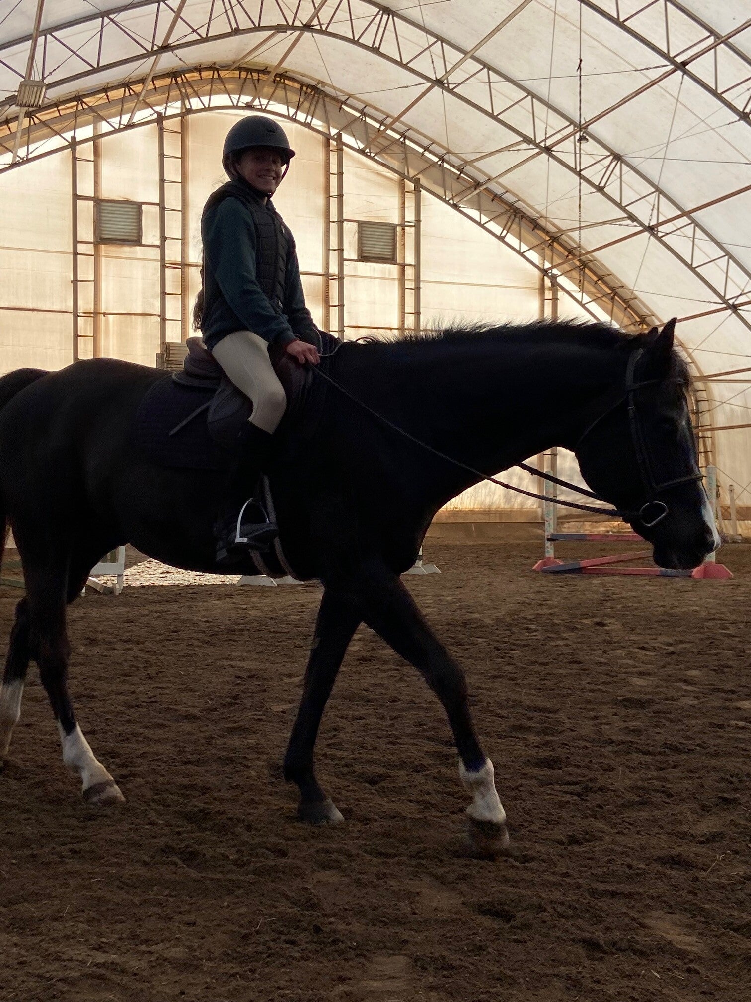 Five Star Performance Horses on-site