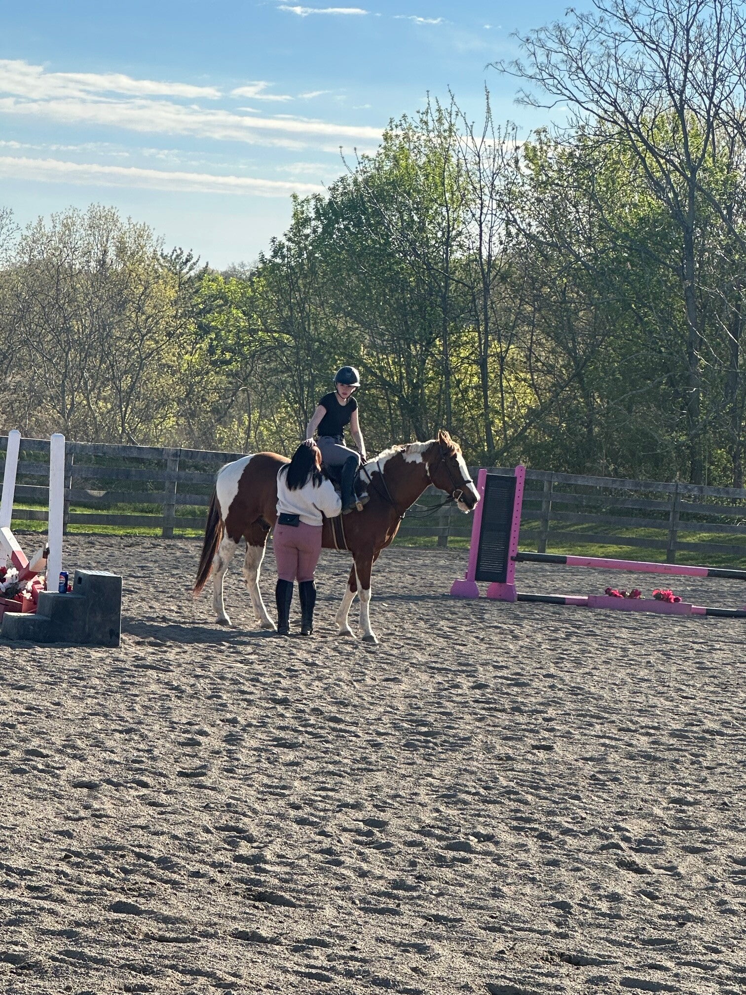 Five Star Performance Horses on-site