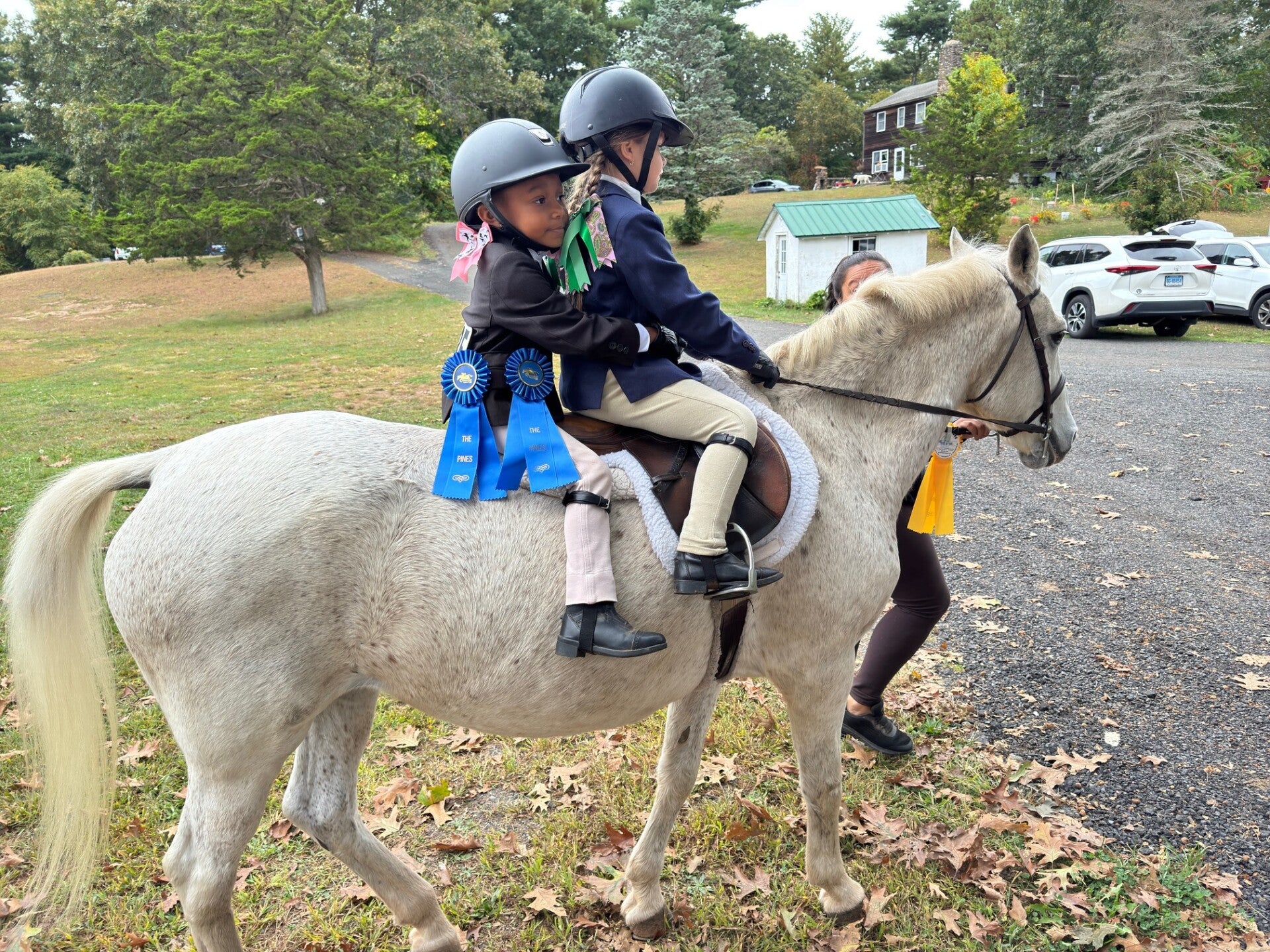 Five Star Performance Horses on-site