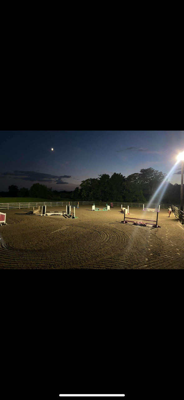 Five Star Performance Horses on-site