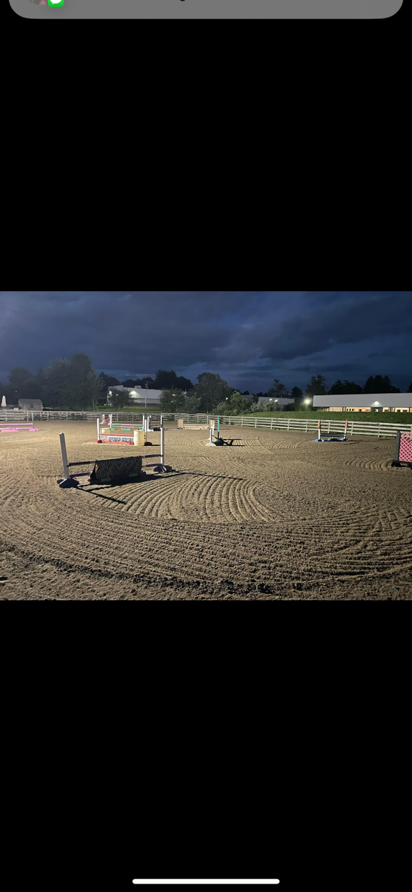 Five Star Performance Horses on-site