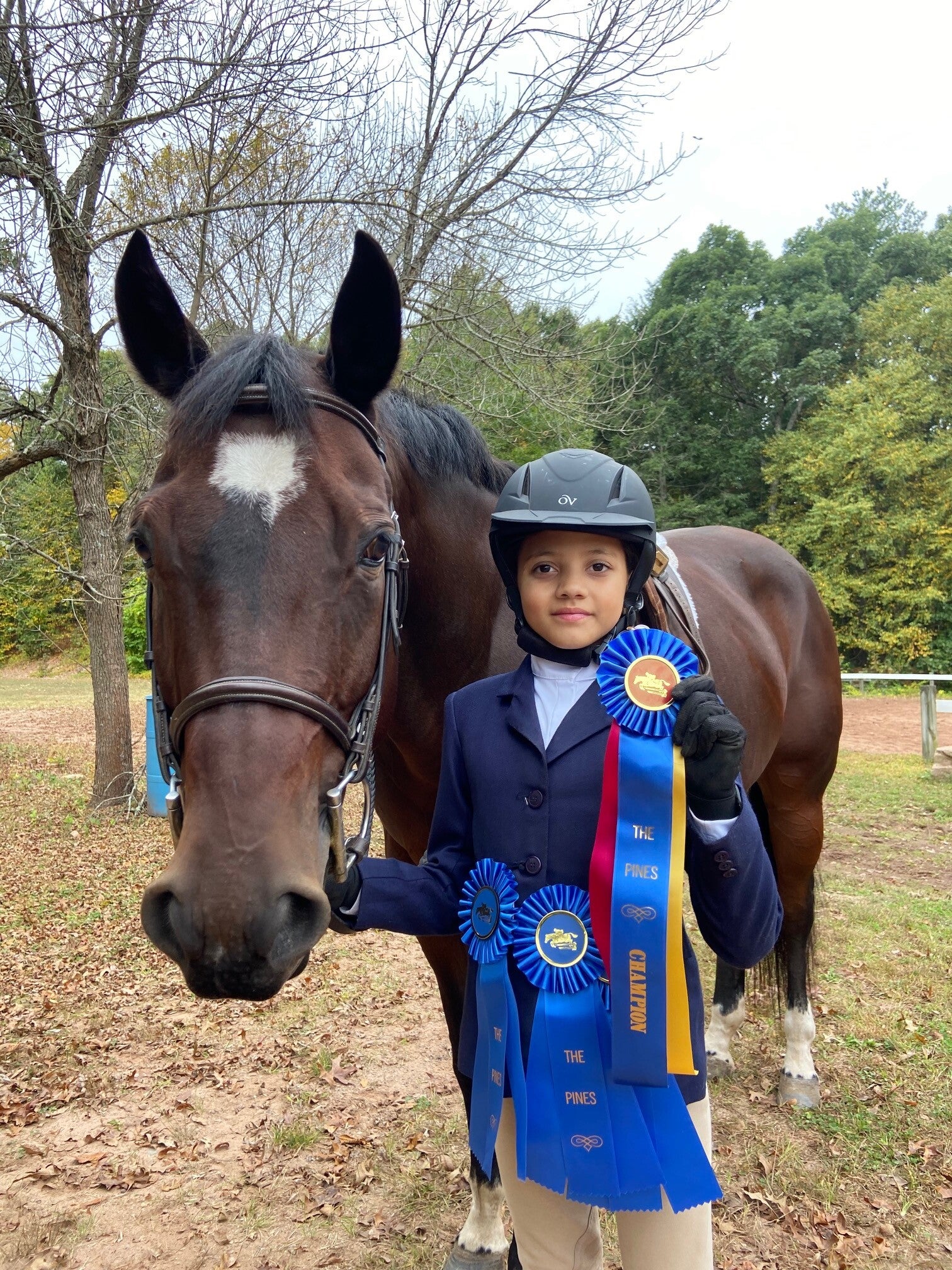 Five Star Performance Horses on-site
