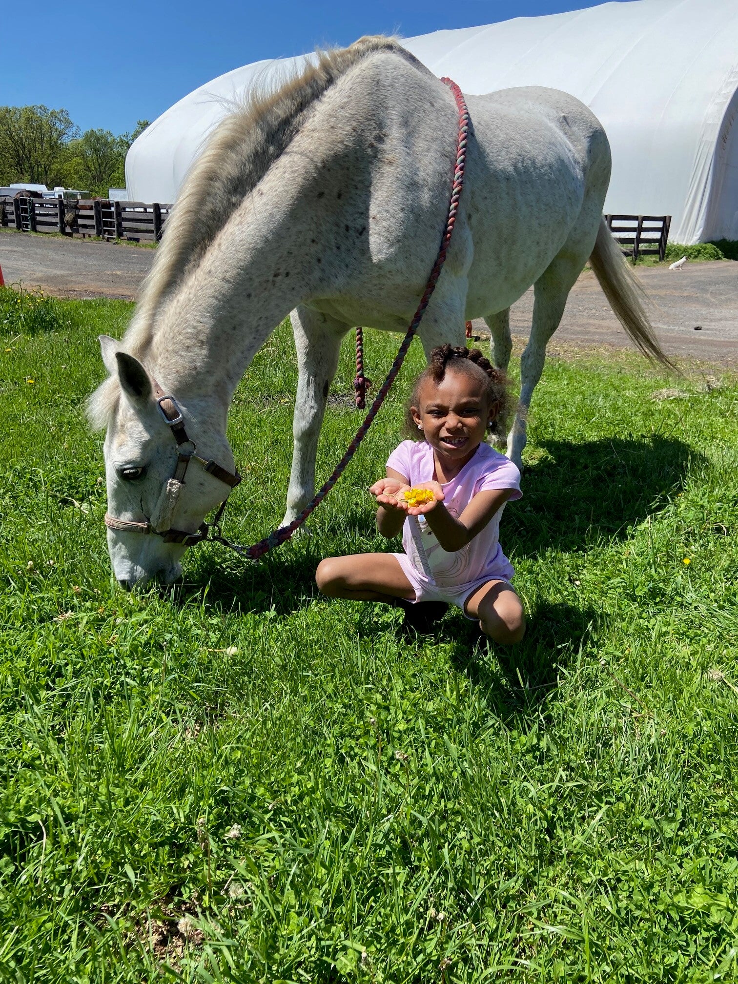 Summer camp and birthday party moments at Five Star 6