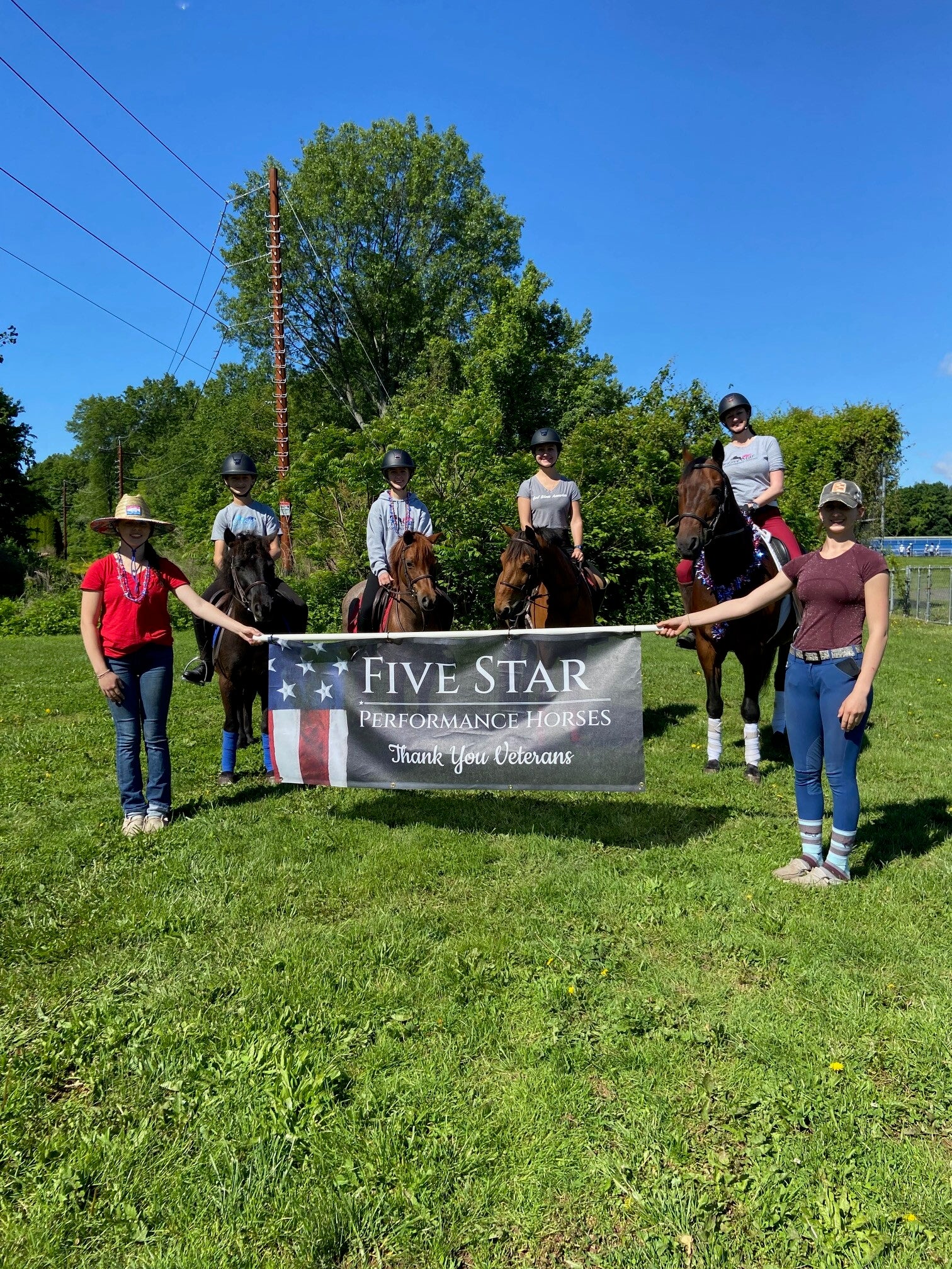 Five Star Performance Horses on-site