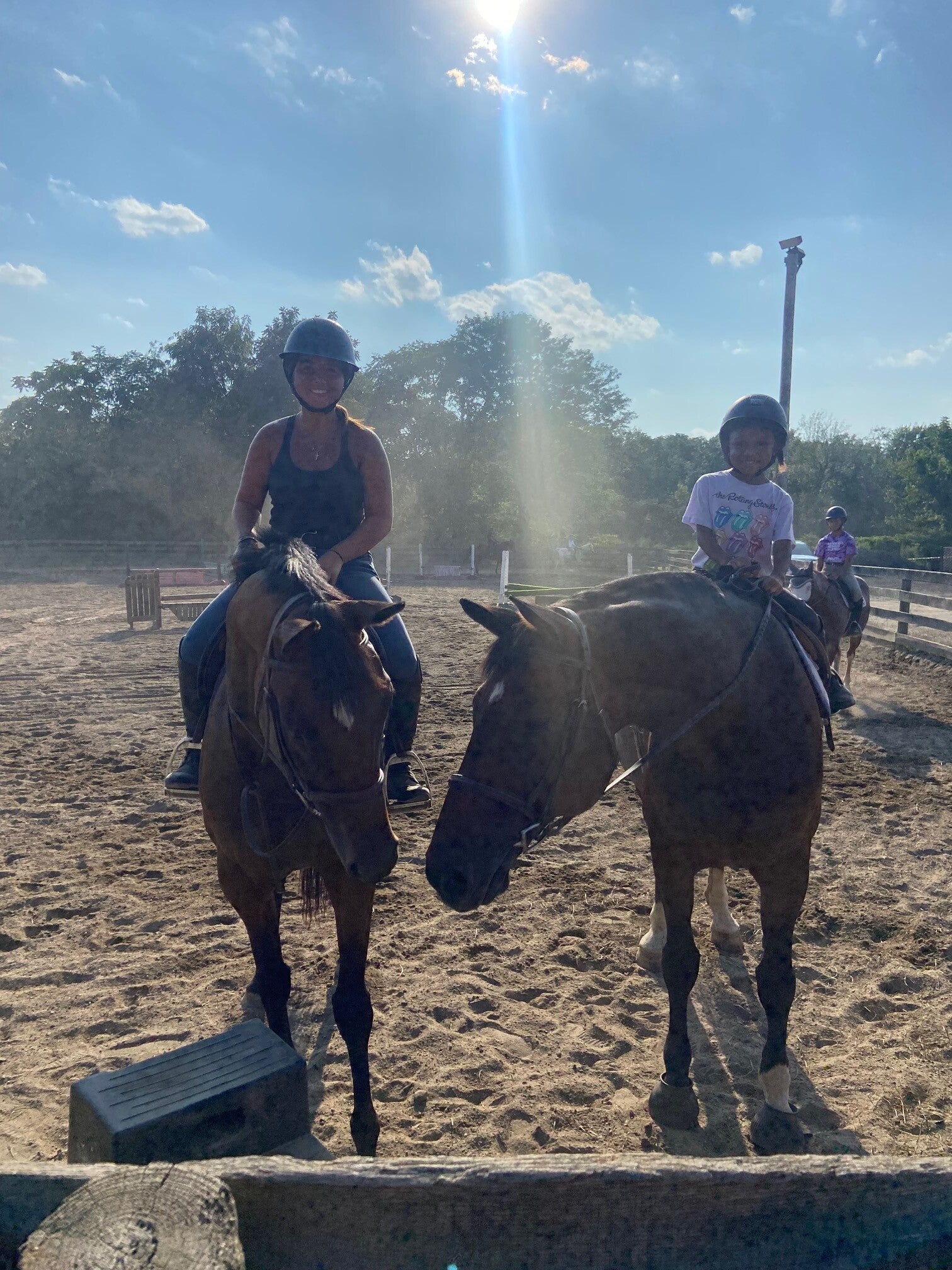 Five Star Performance Horses on-site