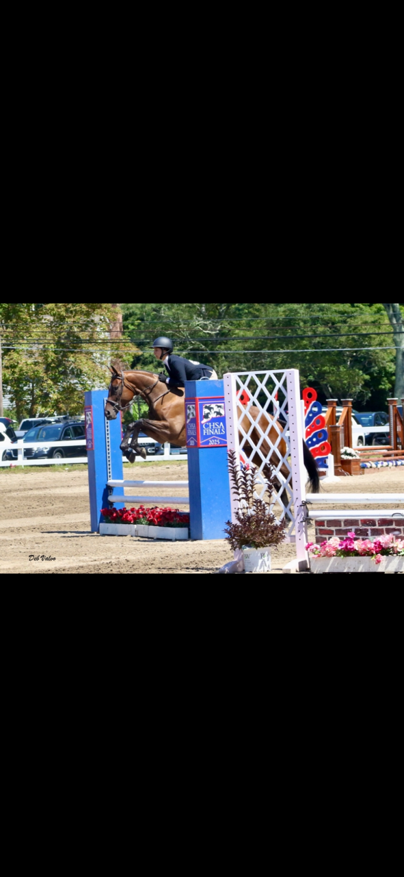 Five Star Performance Horses on-site