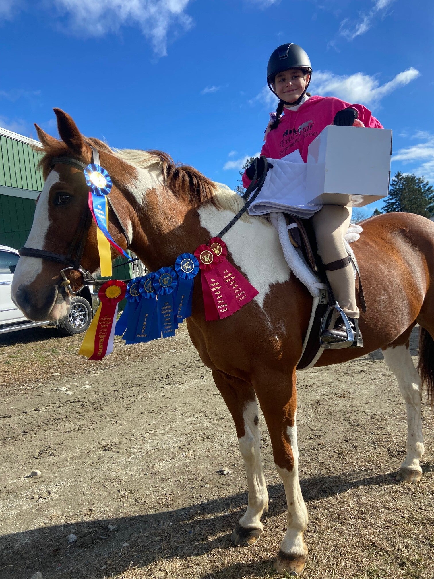 Five Star Performance Horses on-site