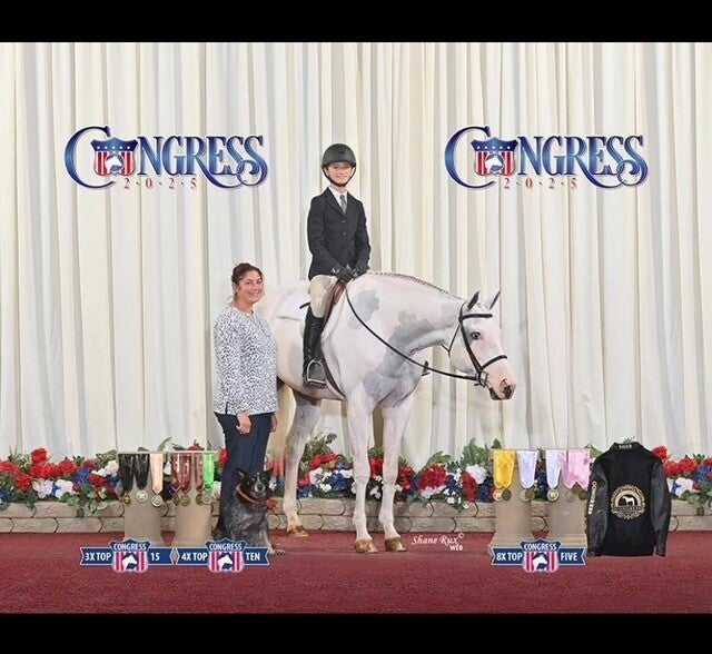 Five Star Performance Horses competition