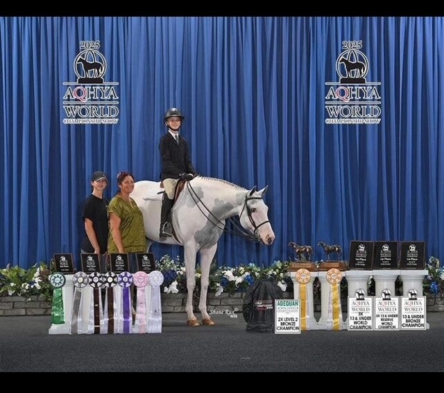 Five Star Performance Horses competition