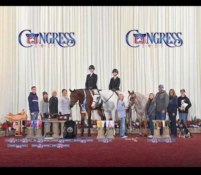 Five Star Performance Horses competition