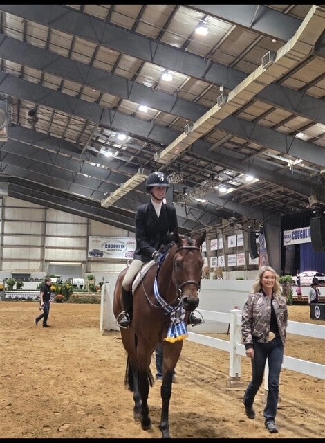 Five Star Performance Horses competition