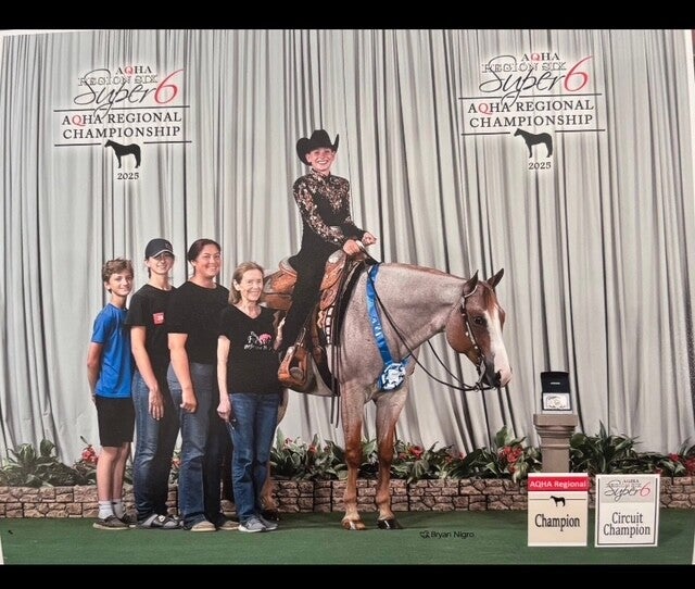 Five Star Performance Horses competition