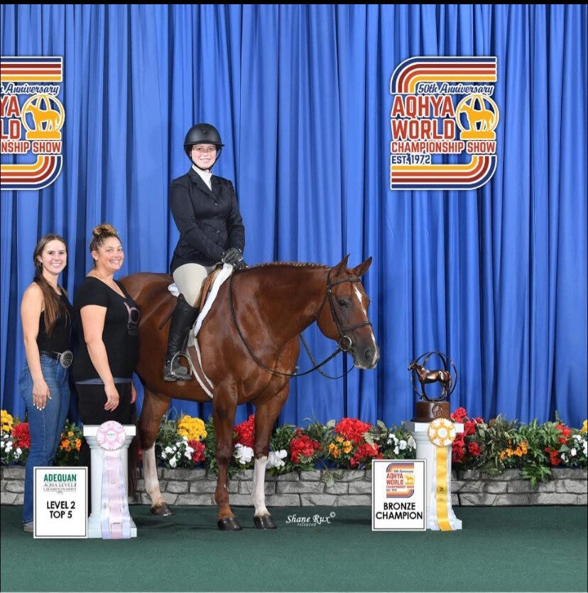 Five Star Performance Horses competition