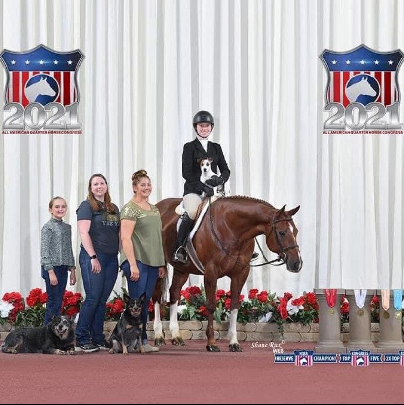 Five Star Performance Horses competition