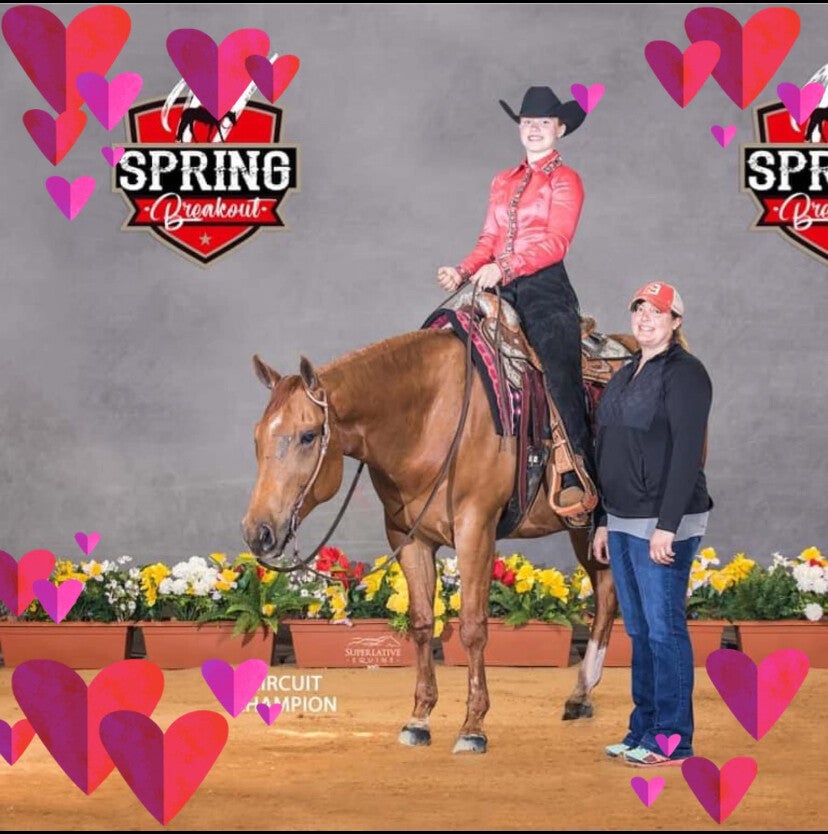 Five Star Performance Horses competition