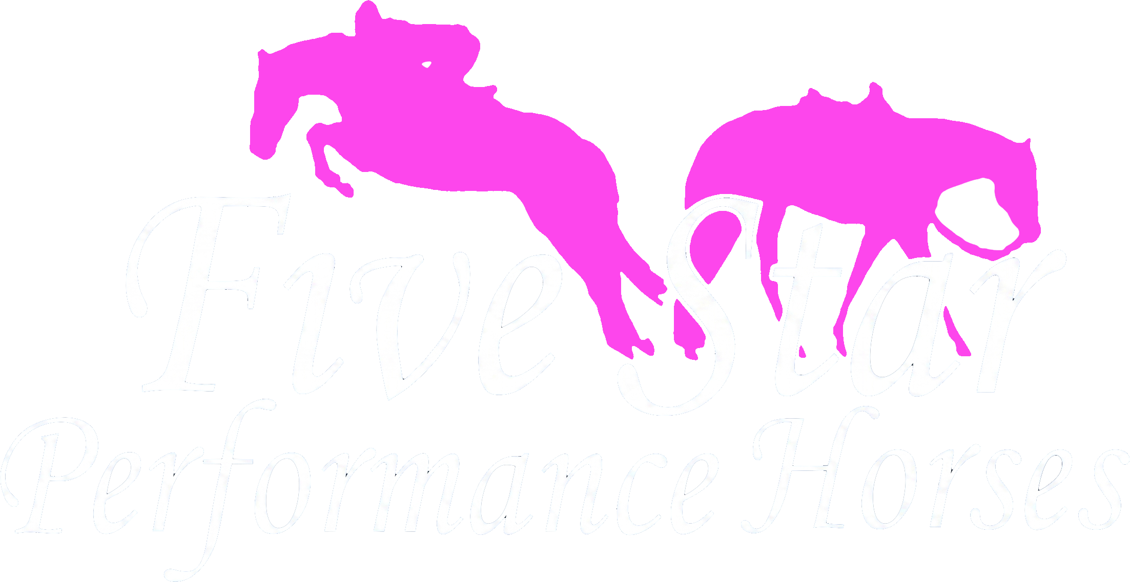 Five Star Performance Horses