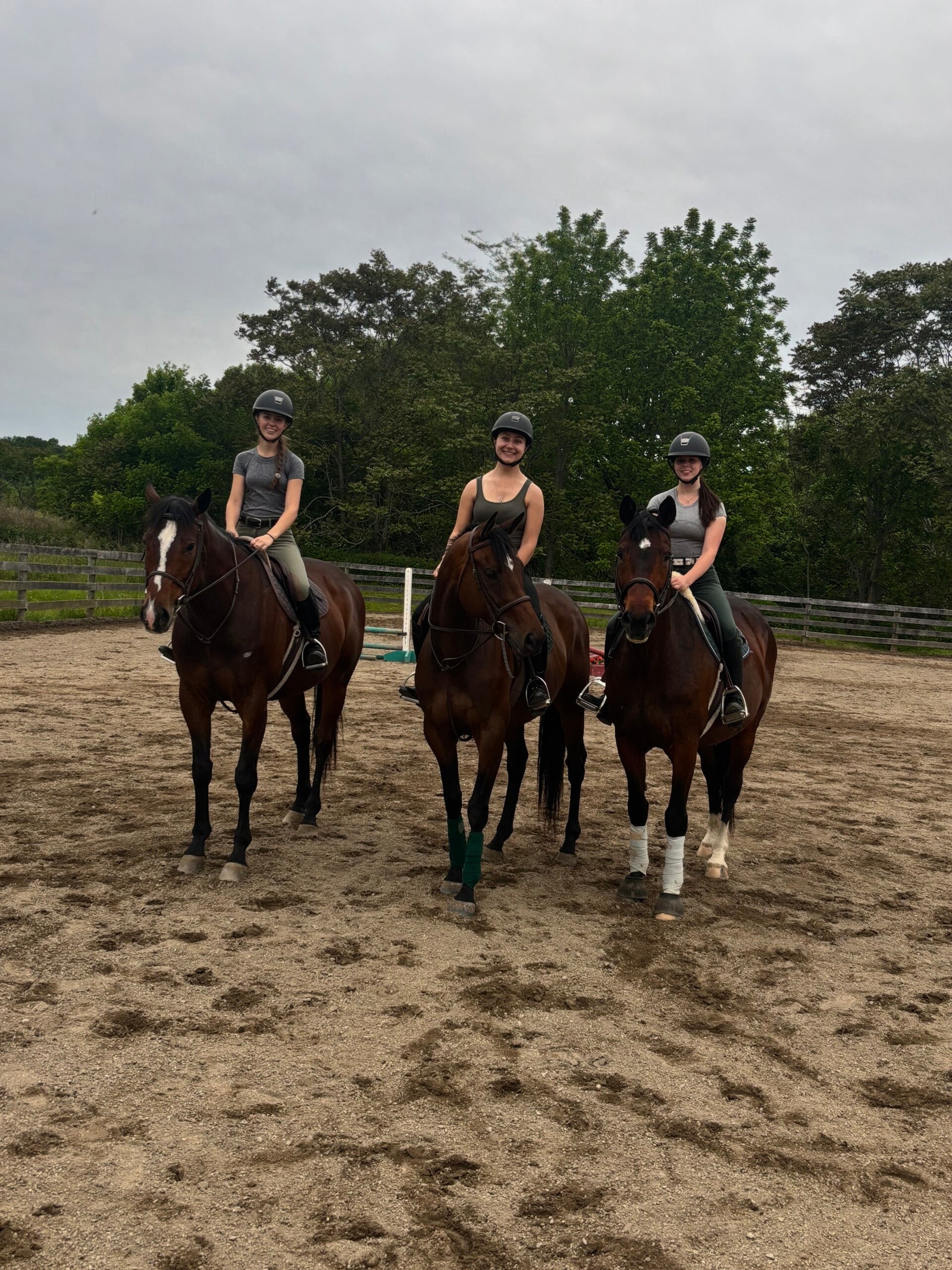 Five Star riding lesson in progress